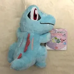 ポケットモンスター ポケモン ほぺぴた ぬいぐるみ ワニノコ