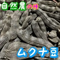masa様 リクエスト 3点 まとめ商品