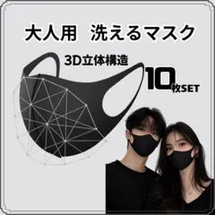 立体マスク ブラック 黒 10枚セット 洗える 男女兼用 軽量 通気性
