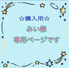 ☆みい様 購入用 専用ページです☆