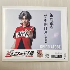 新テニミュ 跡部 ラベル缶烏龍茶