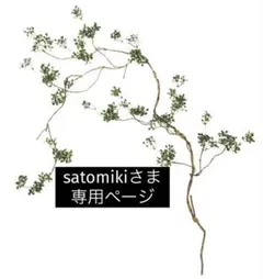satomikiさま　専用ページ