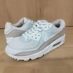 Air Max 90 "Phantom/Summit White"
