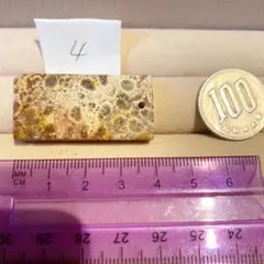 激安 花開富貴緑珊瑚ペンダント4