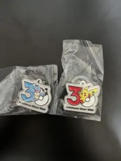ポケモン30周年　メタルチャームマスコット　ピカチュウ　カメックス