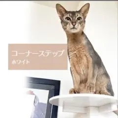 Item thumbnail for item 24e7d788-b0bb-4796-b75b-169ac0864aae