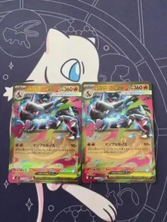 国達様 リクエスト 2点 まとめ商品