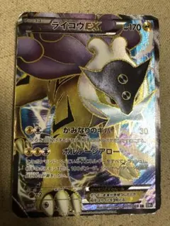 2025年最新】ライコウEX SR bw4の人気アイテム - メルカリ