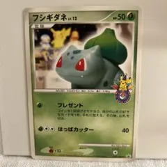 ポケモンカード フシギダネ ジムチャレンジ プロモ 124/BW-P PROMO