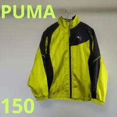 150cm Puma WIND CELL ウィンドセル 蛍光 イエロー グリーン