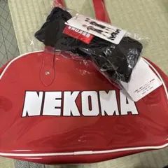 Item thumbnail for item 0200319d-b1da-40eb-8a71-cf50a030493d