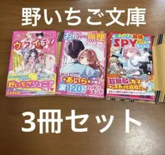 2026年最新】野いちごジュニア文庫の人気アイテム - メルカリ