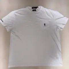 ロンハーマン別注　ラルフローレン　アースポロ　Tシャツ