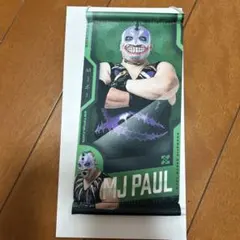 DDT ミニタペストリー　MJポー