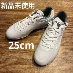 Mizuno ライトレボボディー2 ホワイト スパイク 28cm - メルカリ
