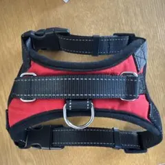 Item thumbnail for item a1bd511b-eb8c-4b7d-91f6-6de66be35694