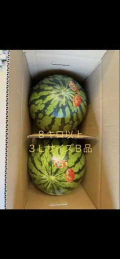 3L-B2 産地直送　大玉三浦すいか 8kg以上　2個 B品　家庭あ 3L-B2 産地直送 大玉三浦すいか 8kg以上 2個 B品 家庭あ - メルカリ