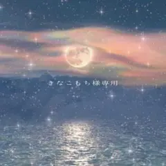 きなこもち　様専用