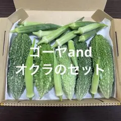 夏野菜 ゴーヤandオクラandセットのサムネイル