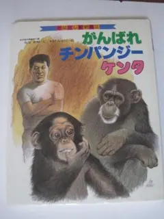 Item thumbnail for item bac88a39-f556-495b-b097-e2fca645f37f