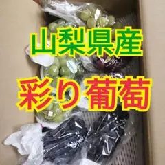 2026年最新】マドンナの宝石 ぶどうの人気アイテム - メルカリ