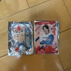 北海道日本ハムファイターズ 水野達稀 アクリルキーホルダー クリアカード