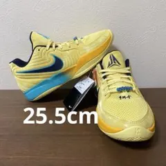 NIKE JA2 EP 新品 ナイキ ジャ2 バッシュ 25.5cm