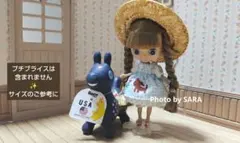 RODY ロディ USA ミニチュア フィギュア　ソフビのサムネイル