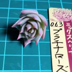 ルッツン様 リクエスト 2点 まとめ商品