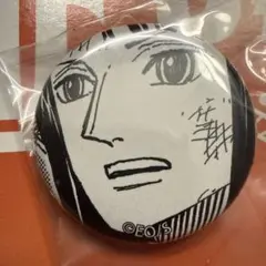入手困難 ワンピース all faces オールフェイス缶バッジ ニコ・ロビン