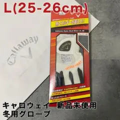 Item thumbnail for item dc260415-5790-4450-a508-af0864747c5b