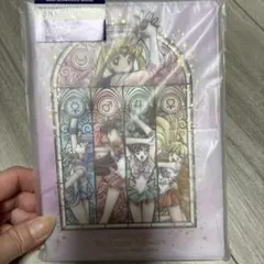 新品未開封 セーラームーンミュージアム クリアファイル A4 原画 武内
