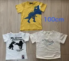 100cm 恐竜デザイン Tシャツ 3枚セット