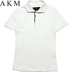 Item thumbnail for item 64fd50a1-8267-4a07-bd0c-efdf5fa2953f