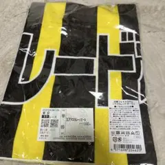 応援馬券（マスカレードボール、日本ダービー） 2025年 日本ダービー マスカレードボール 現地がんばれ馬券 - メルカリ