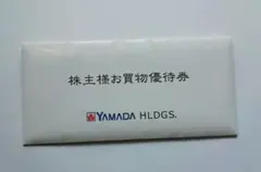 YAMADA HLDGS. お買物優待券 500円 10枚
