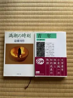 遠藤周作『満潮の時刻』　森鴎外『青年』　文豪2冊セット