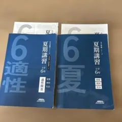 適性検査対策問題集 小学6年　夏期講習