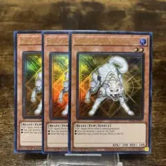 2026年最新】ライトロードデッキパーツの人気アイテム - メルカリ
