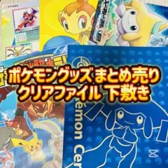 ポケモン クリアファイル 下敷き 15点まとめ売り Pokémon