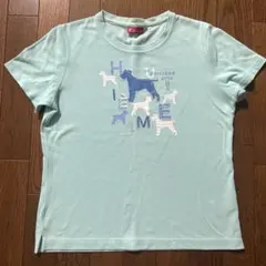 HUITIEME　ウィッテム　半袖　レディース　Tシャツ　犬　M　ミントグリーンのサムネイル