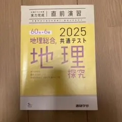 2025 地理総合 共通テスト 地理探究
