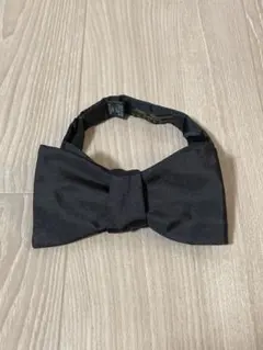Atto Vannucci 蝶ネクタイ Bow Tie - メルカリ