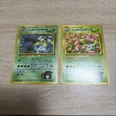 エリカのフシギバナ フシギソウ　2枚セット　旧裏　渦巻きあり