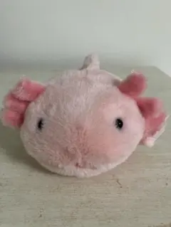 海中散歩 ぽちゃまる ウーパールーパー ぬいぐるみ ピンク