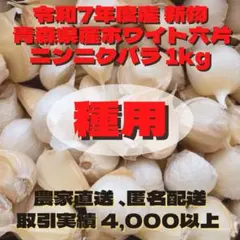 トモッチ様専用 種用500g