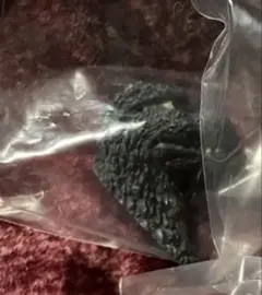 一番くじ ゴジラ 大怪獣列伝G G賞 モンスターヘッドマグネット 2種