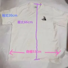 THE NORTH FACE 　生成色Tシャツ L
