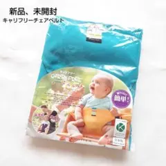 EIGHTEX CARRY FREE チェアベルト 青　緑　セーフティグッズ