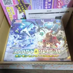 スノーハザード&クレイバスト ポケモンセンター・ジムセット
